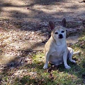 Meet your Posher, Sylvia